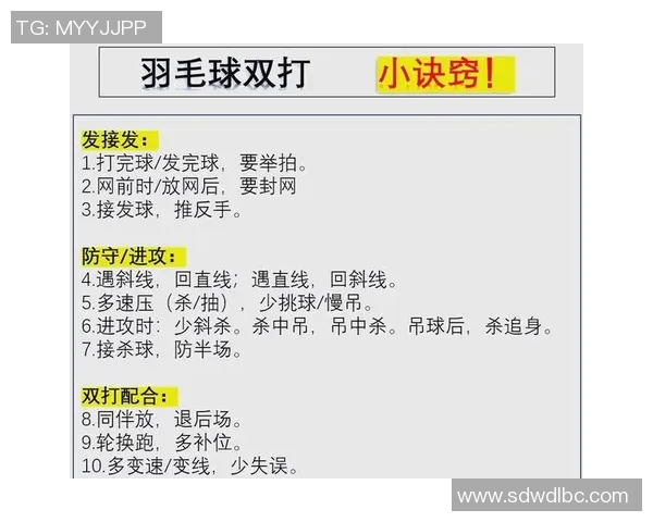 羽毛球战术解析:深入探讨杭州羽毛球队的防守策略与技巧
